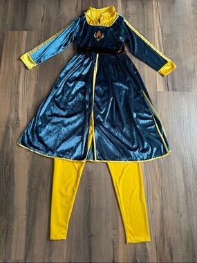 Little Adventures Frozen Princess dress set